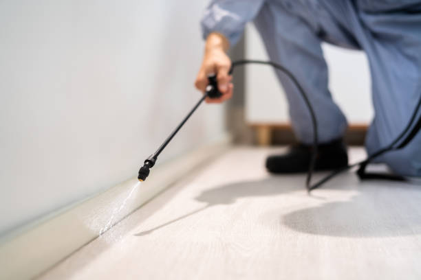 Licensed Rodent Control service in Salamatof, AK - Nex Pest Control