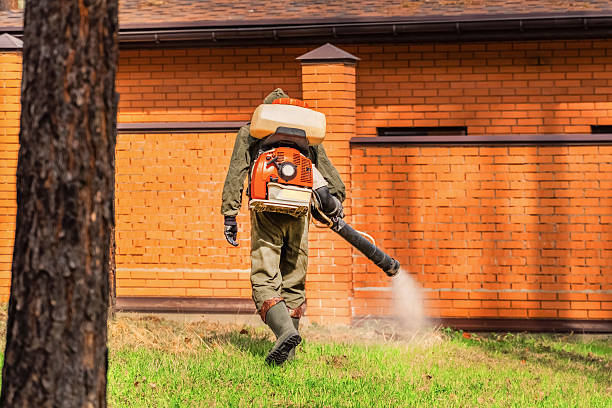 Trusted Rodent Control service in Salamatof, AK - Nex Pest Control